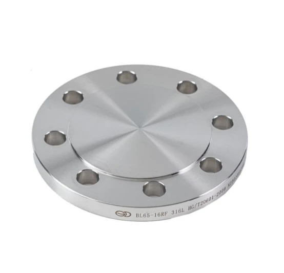 SS 316L Blind Flange (BLRF) SS 316L Blind Flange (BLRF)